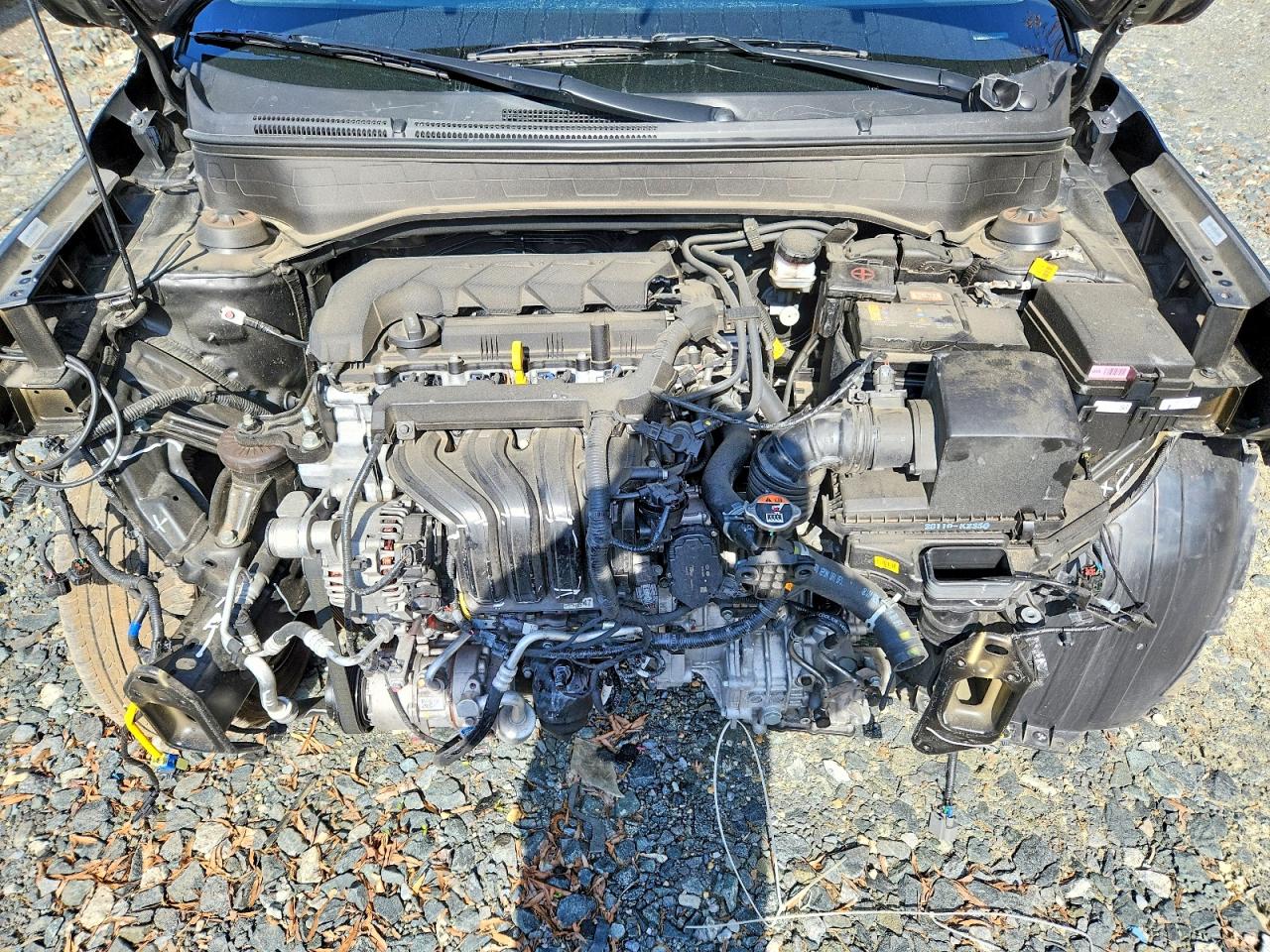 2025 HYUNDAI VENUE