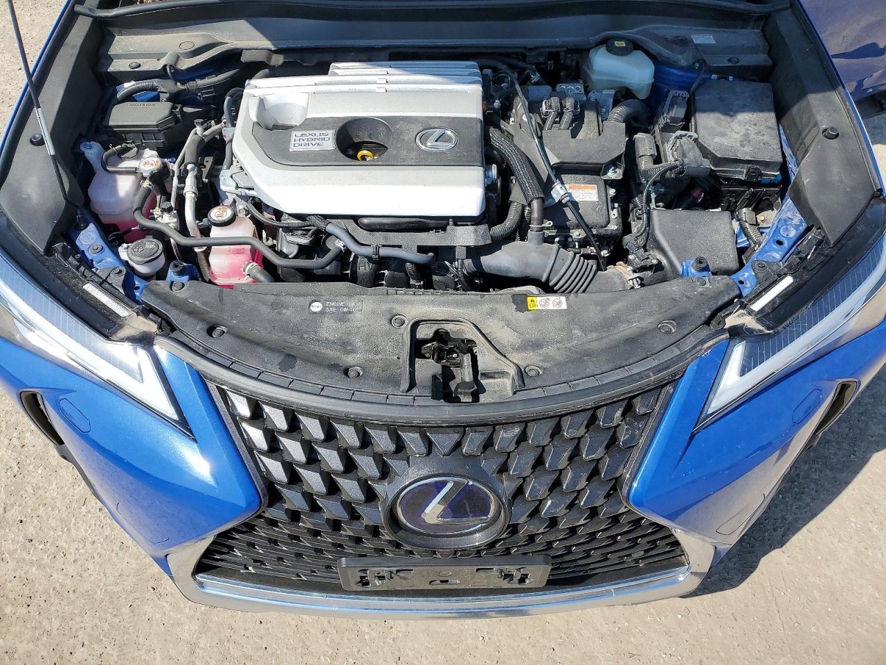 2021 LEXUS UX