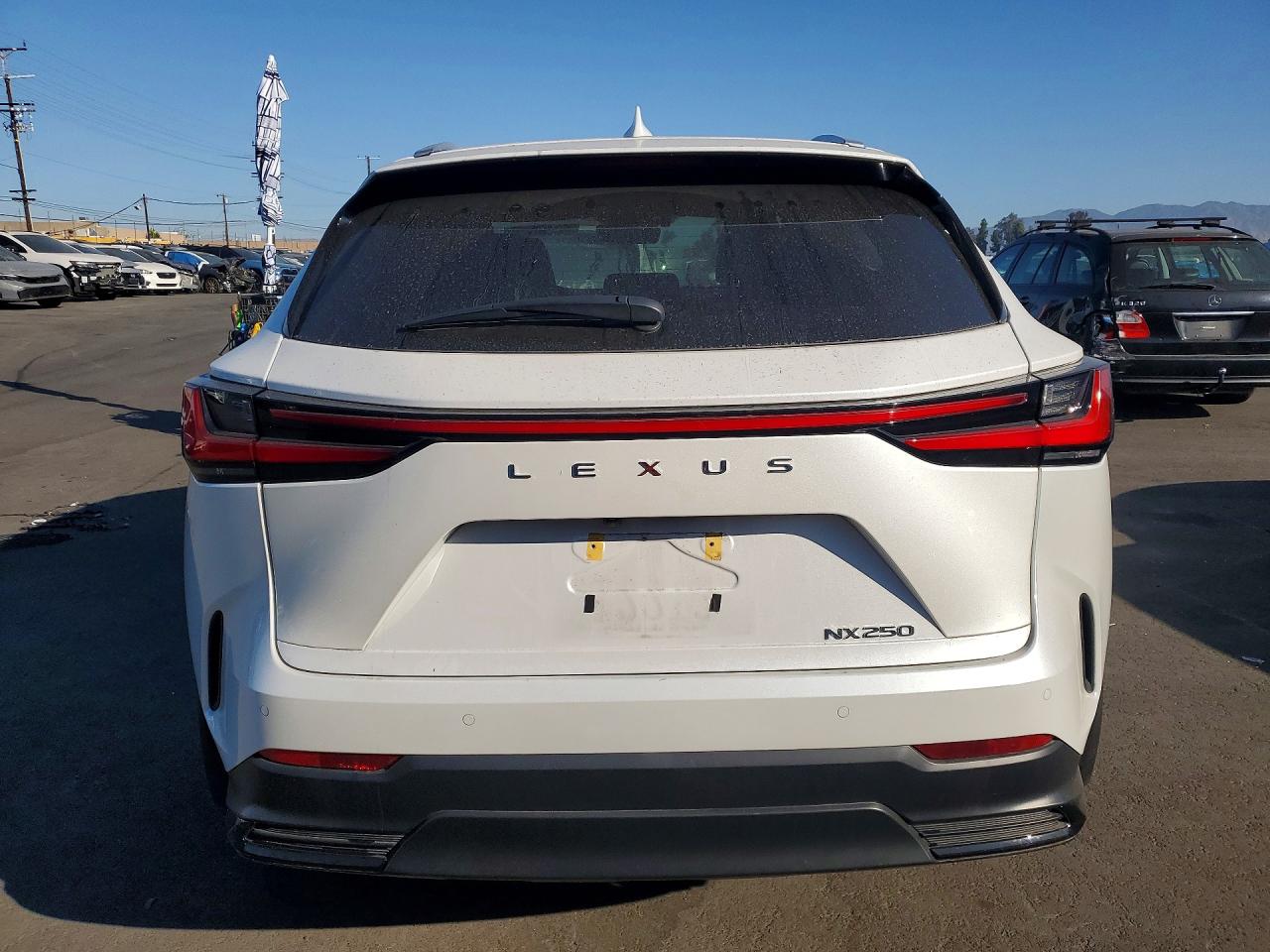 2025 LEXUS NX 250