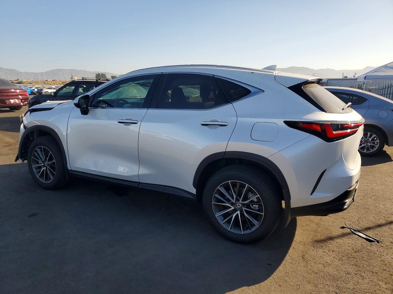 2025 LEXUS NX 250