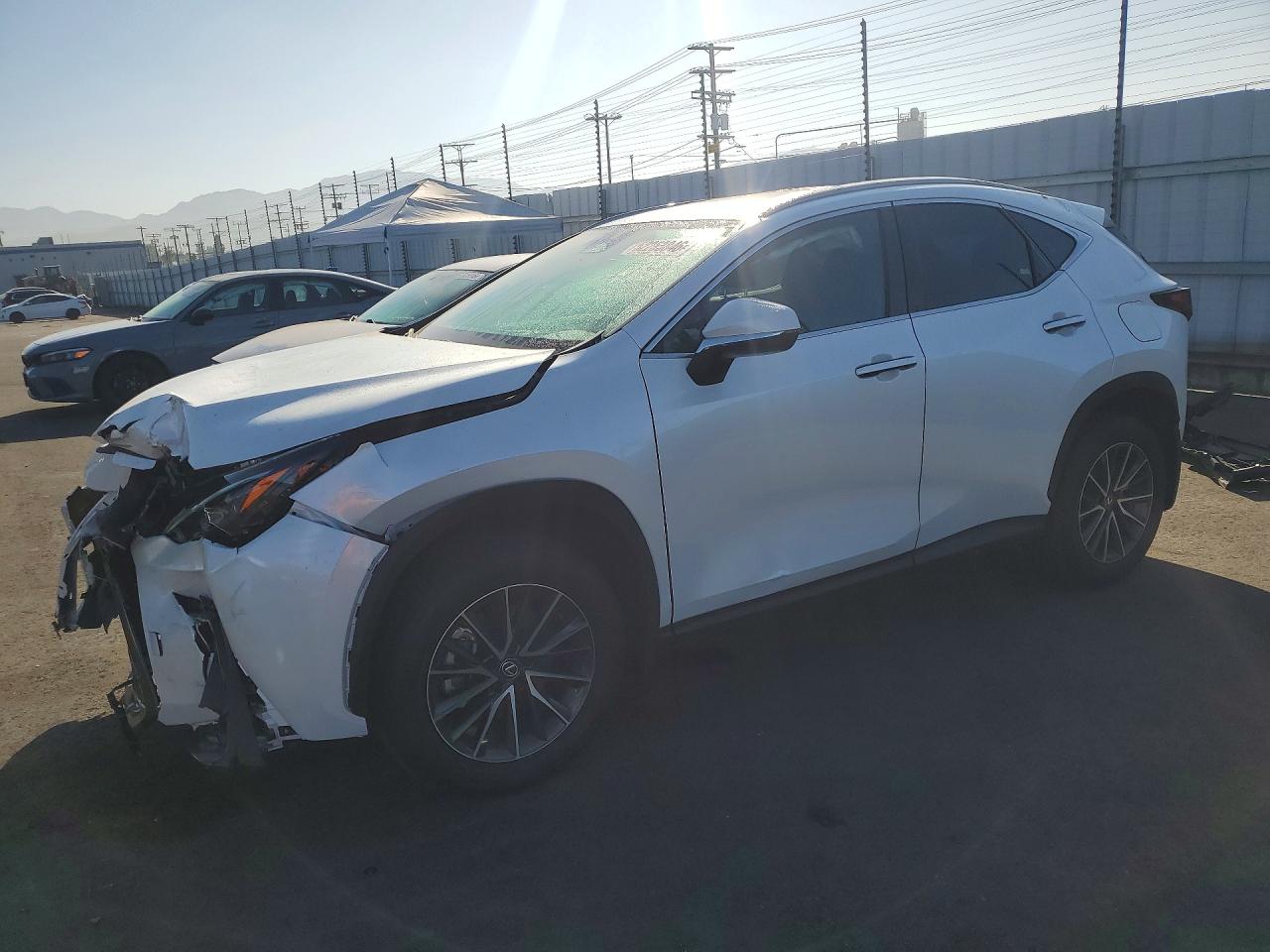 2025 LEXUS NX 250