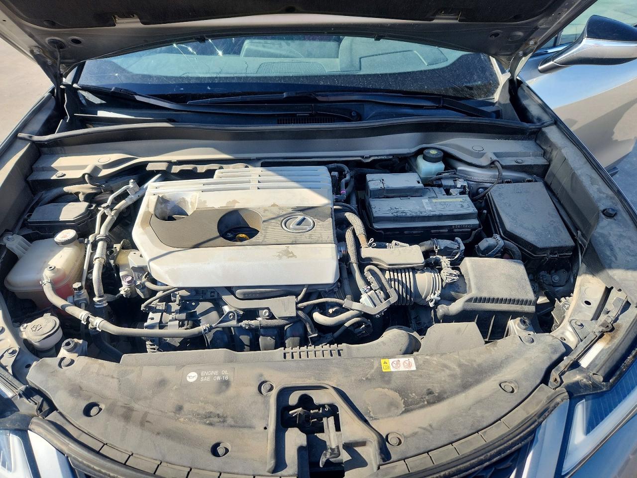 2019 LEXUS UX