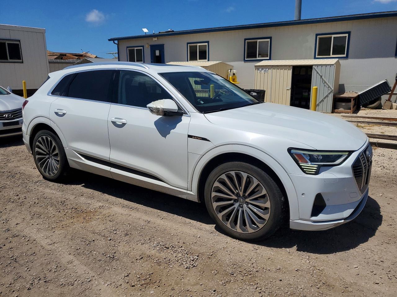 2019 AUDI E-TRON