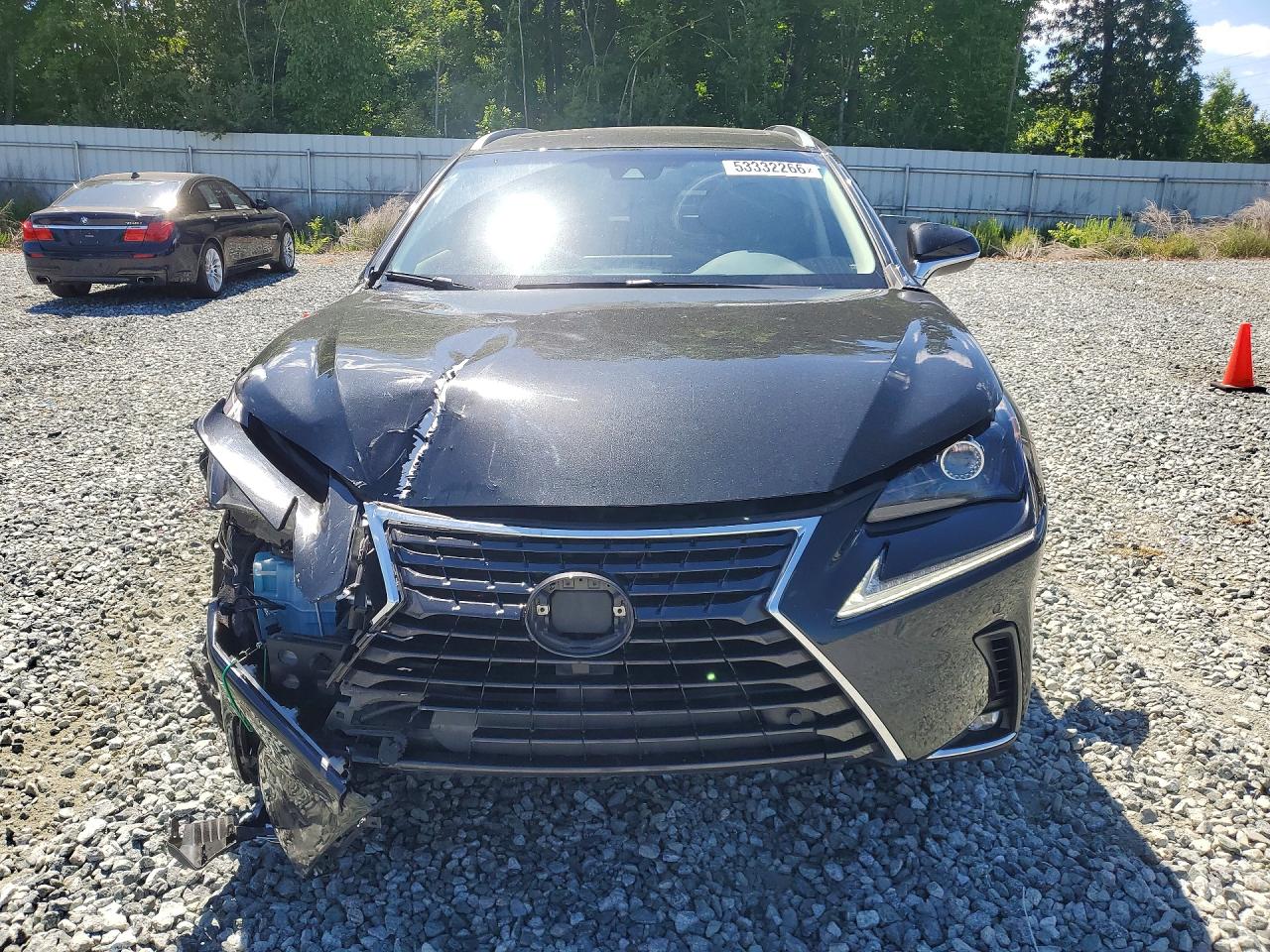 2019 LEXUS NX