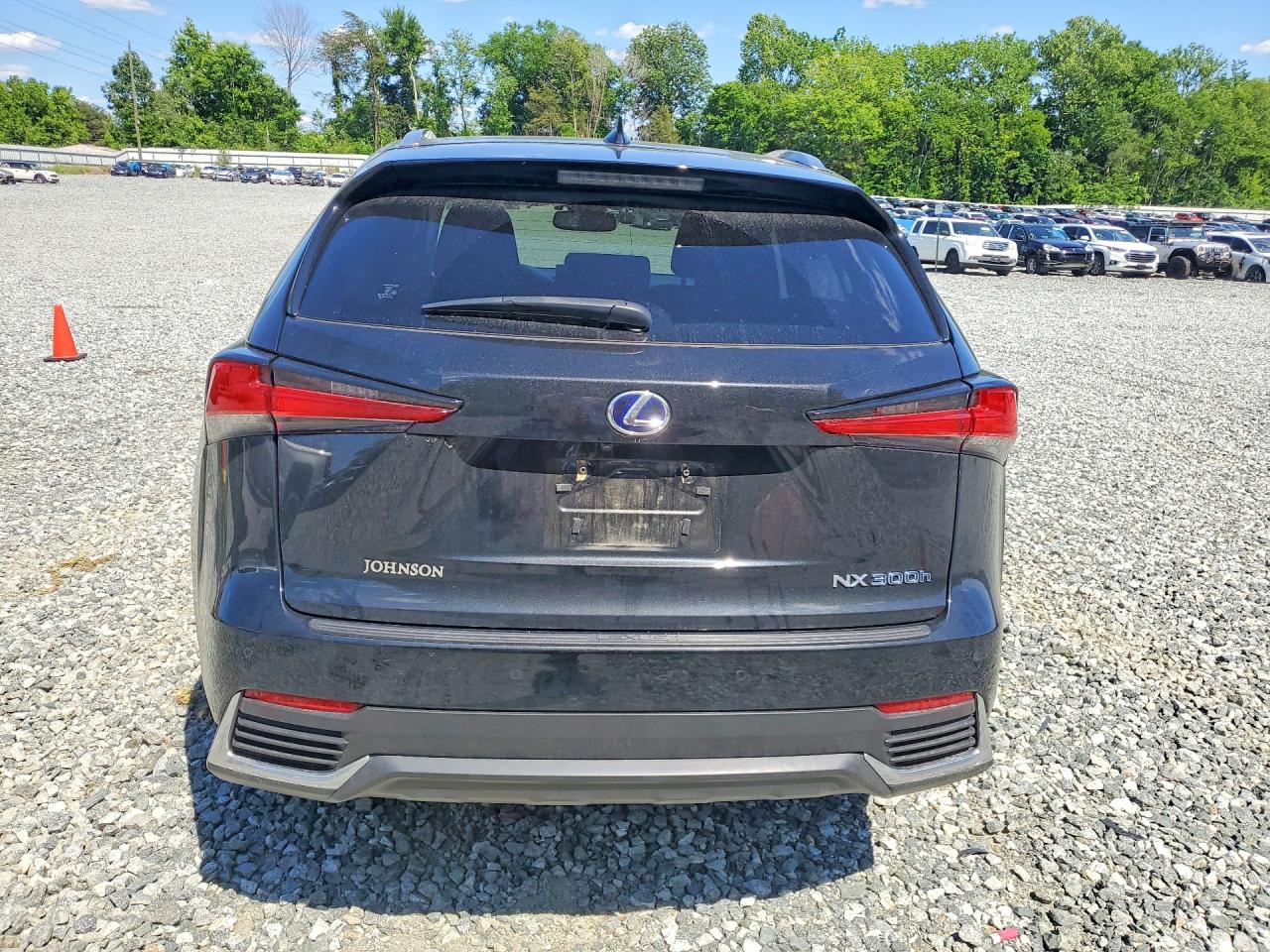 2019 LEXUS NX