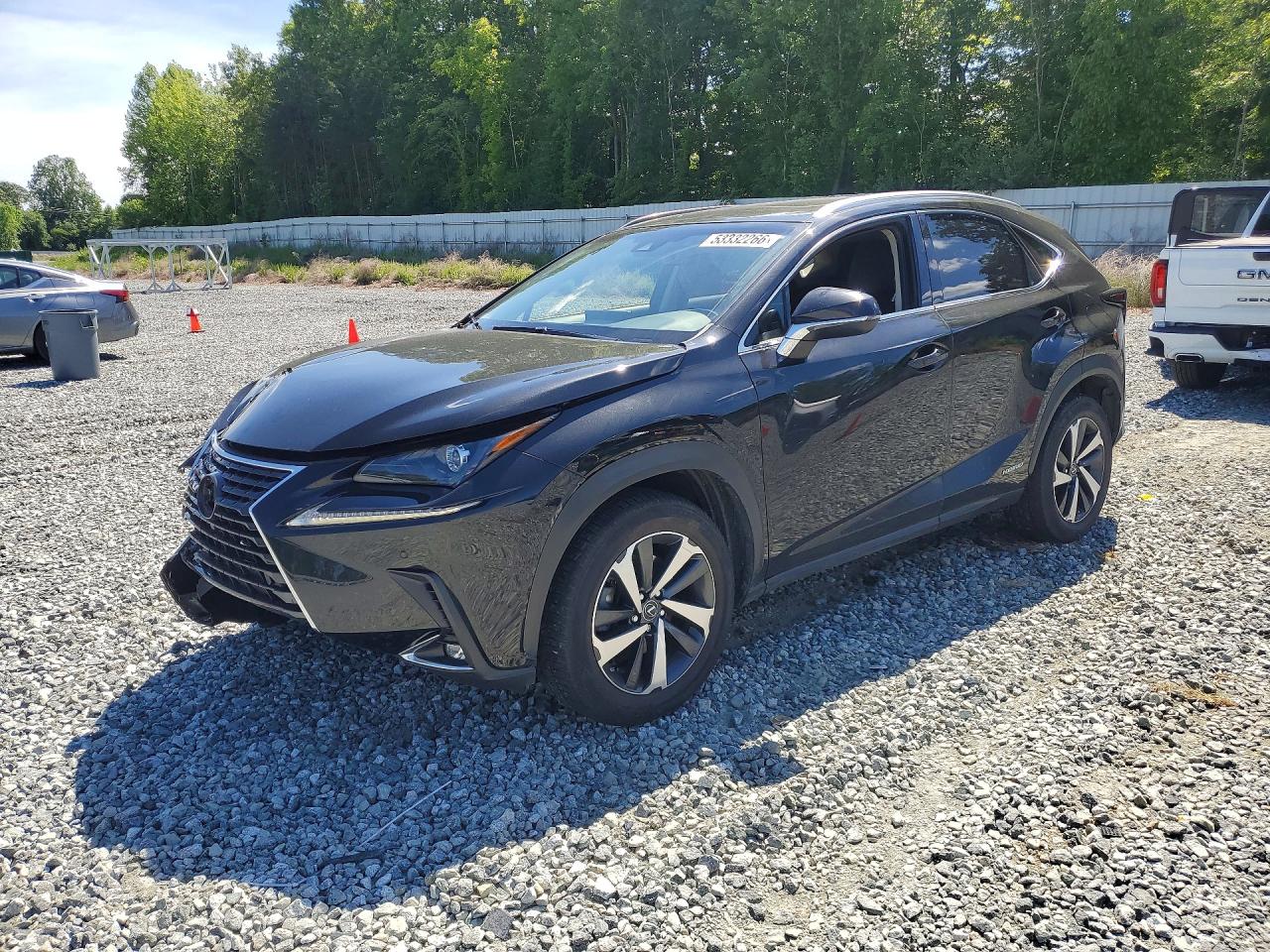 2019 LEXUS NX