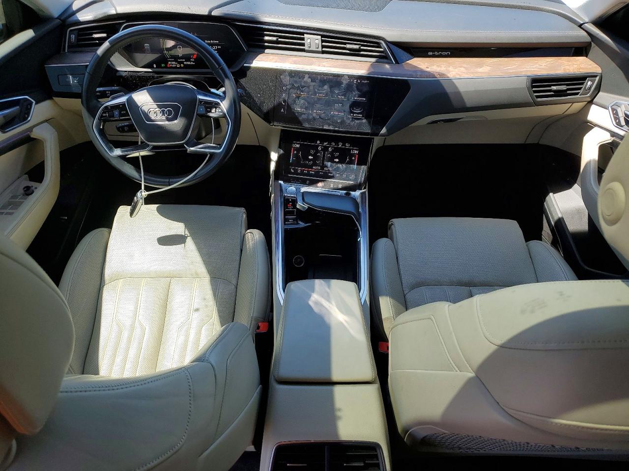 2019 AUDI E-TRON