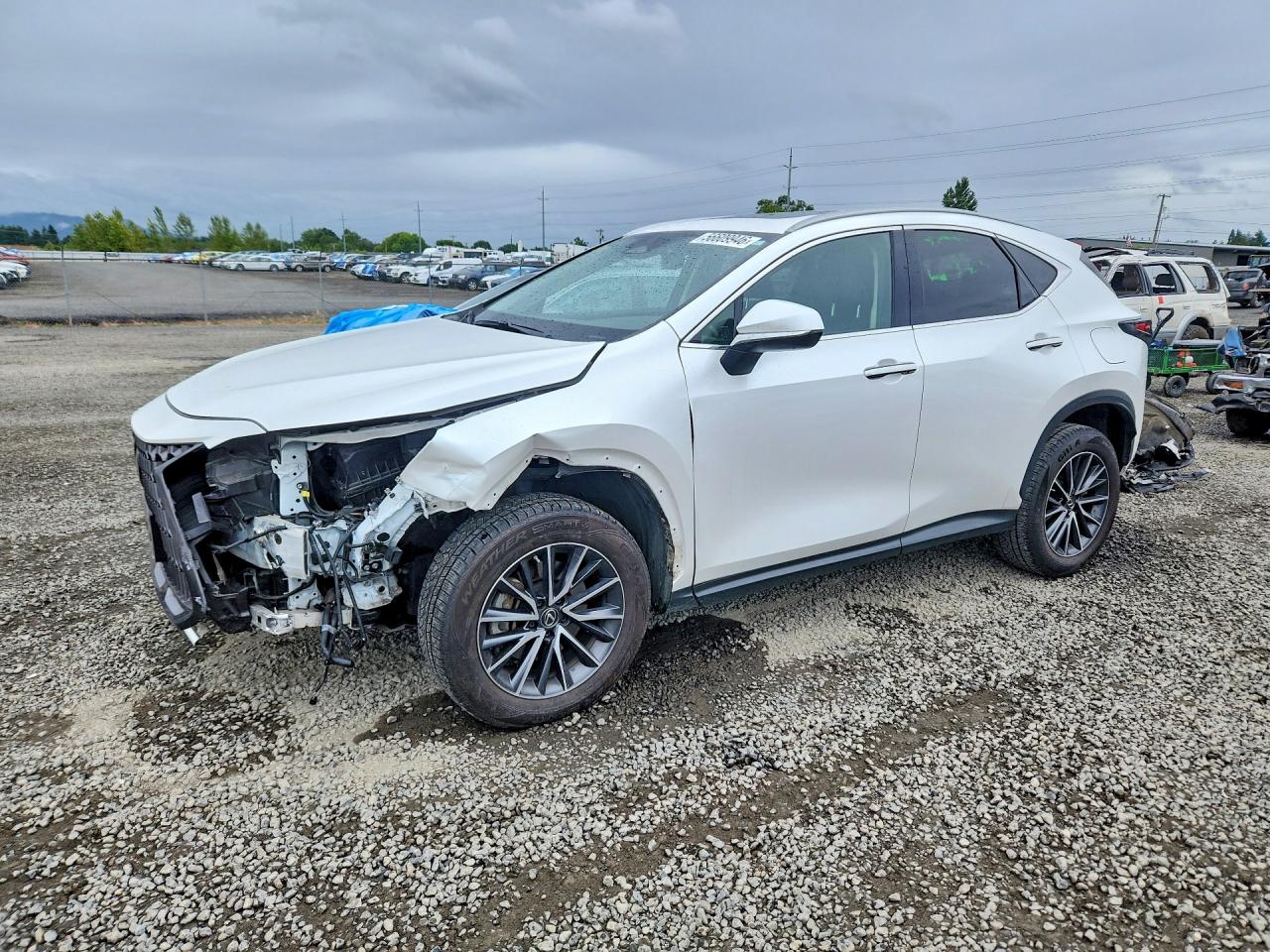 2023 LEXUS 25 Series NX — ?