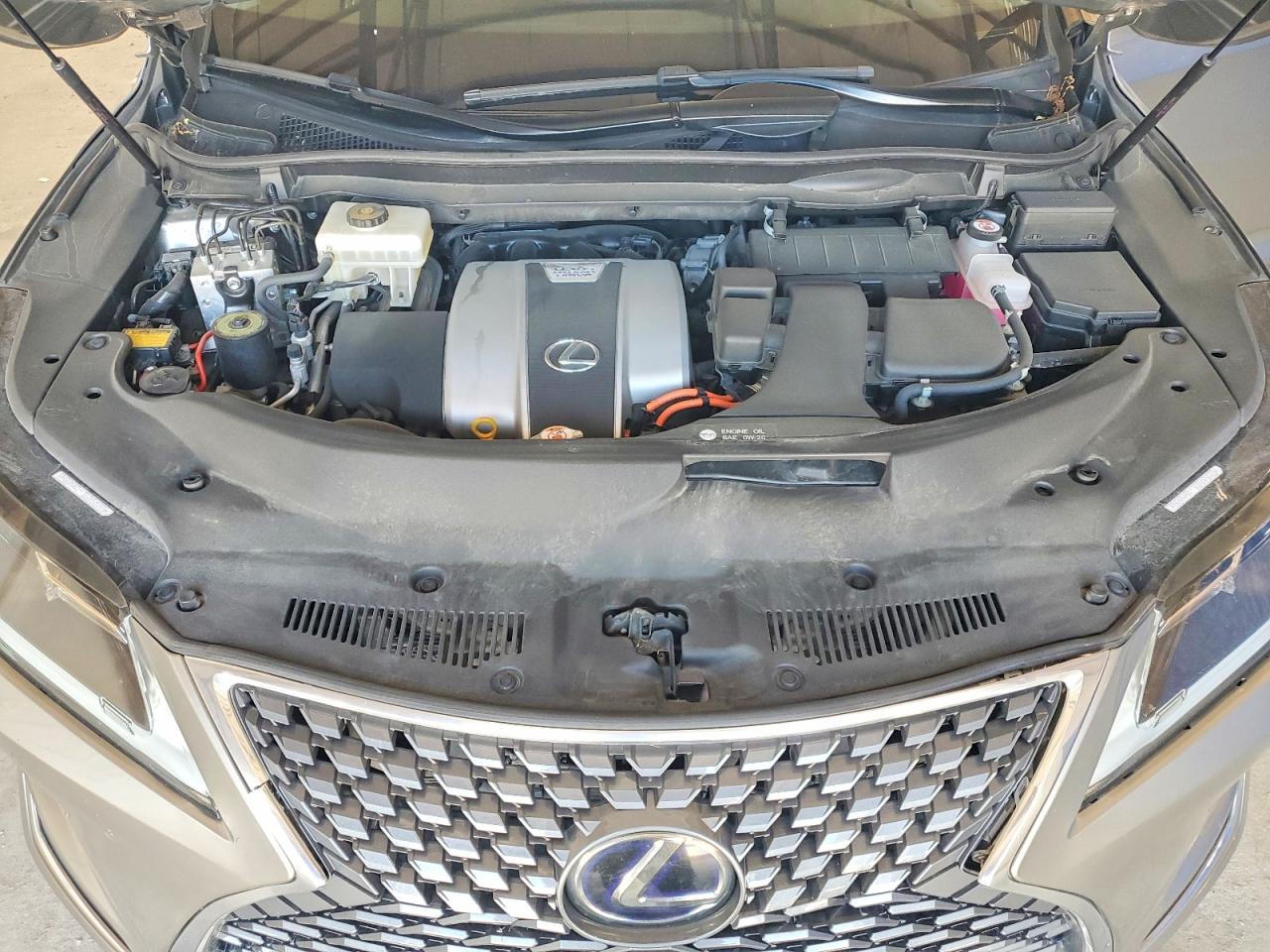 2020 LEXUS RX