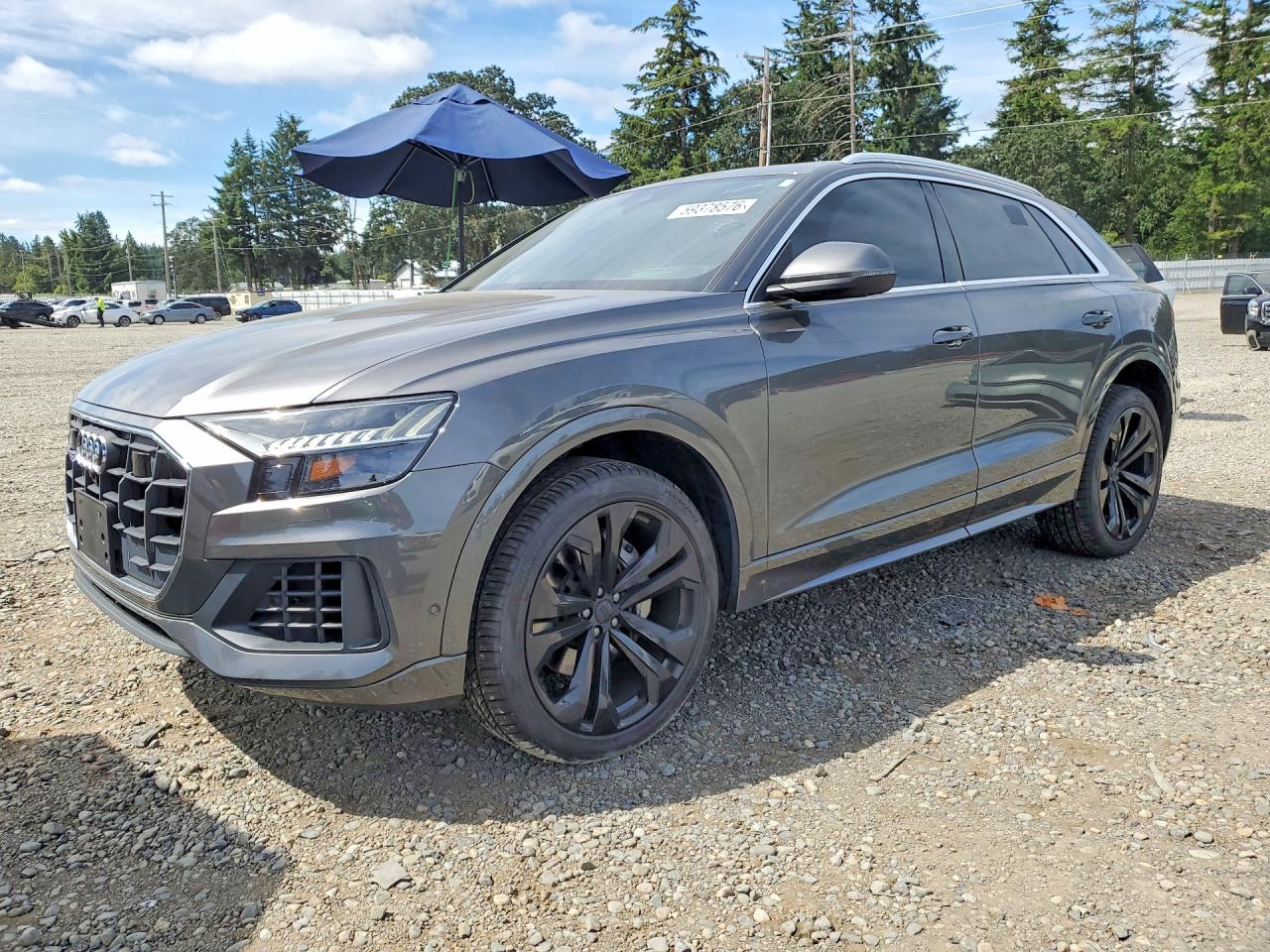 2019 AUDI Q8 — ?