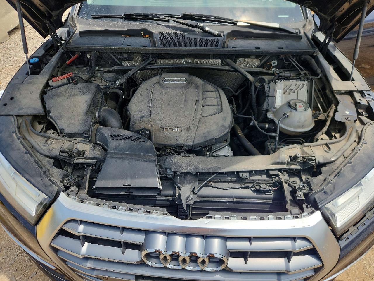 2019 AUDI Q5