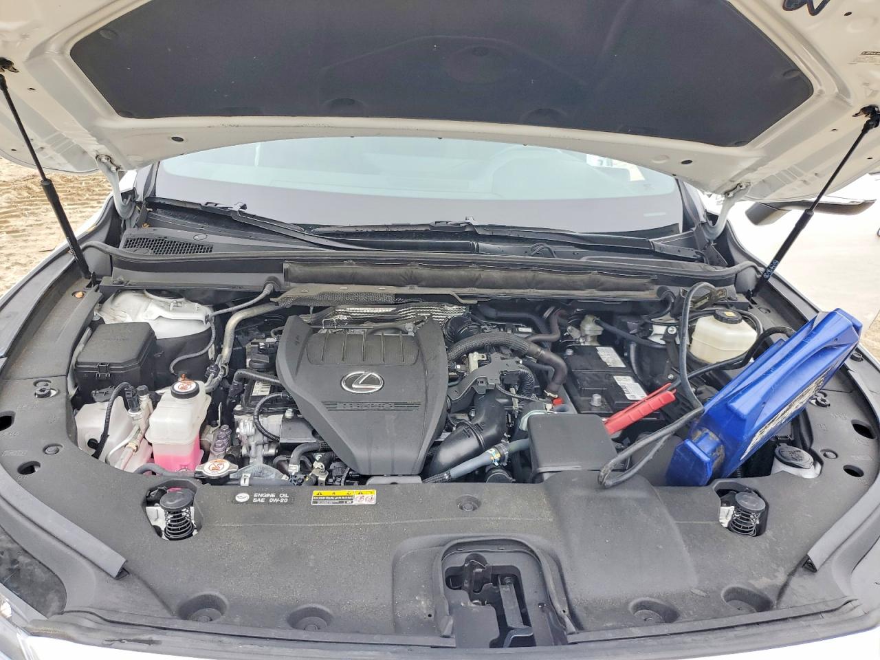 2024 LEXUS 15 Series RX 350 — ?