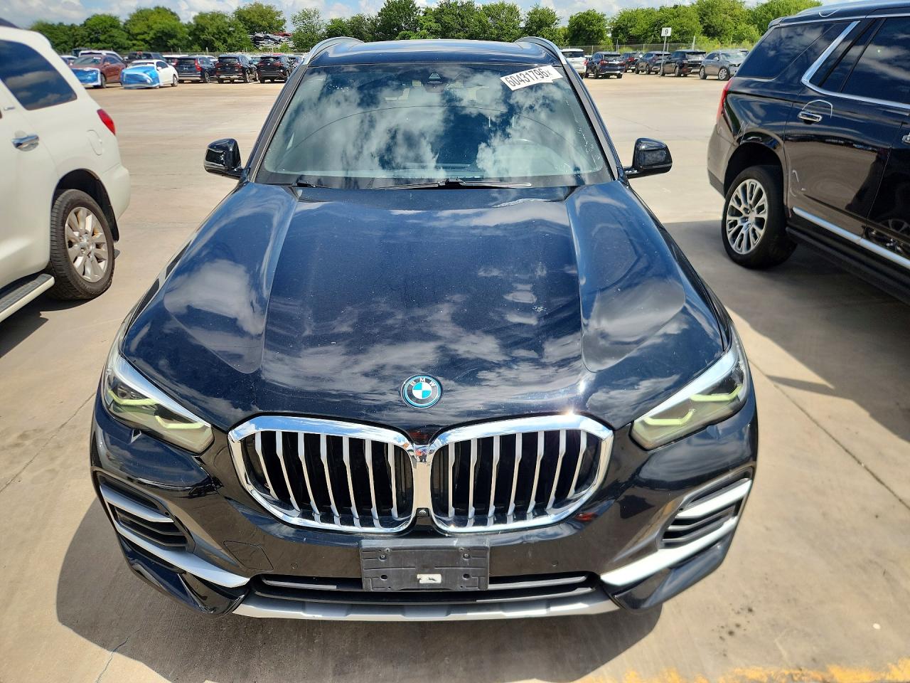 2023 BMW X5