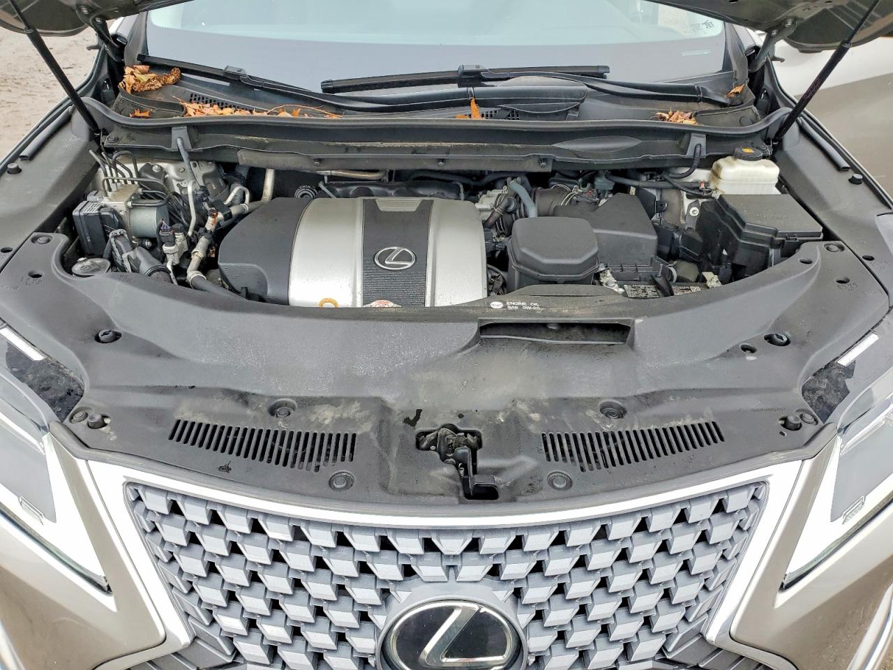 2021 LEXUS RX 350