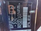 2025 LEXUS 25 Series NX 350H