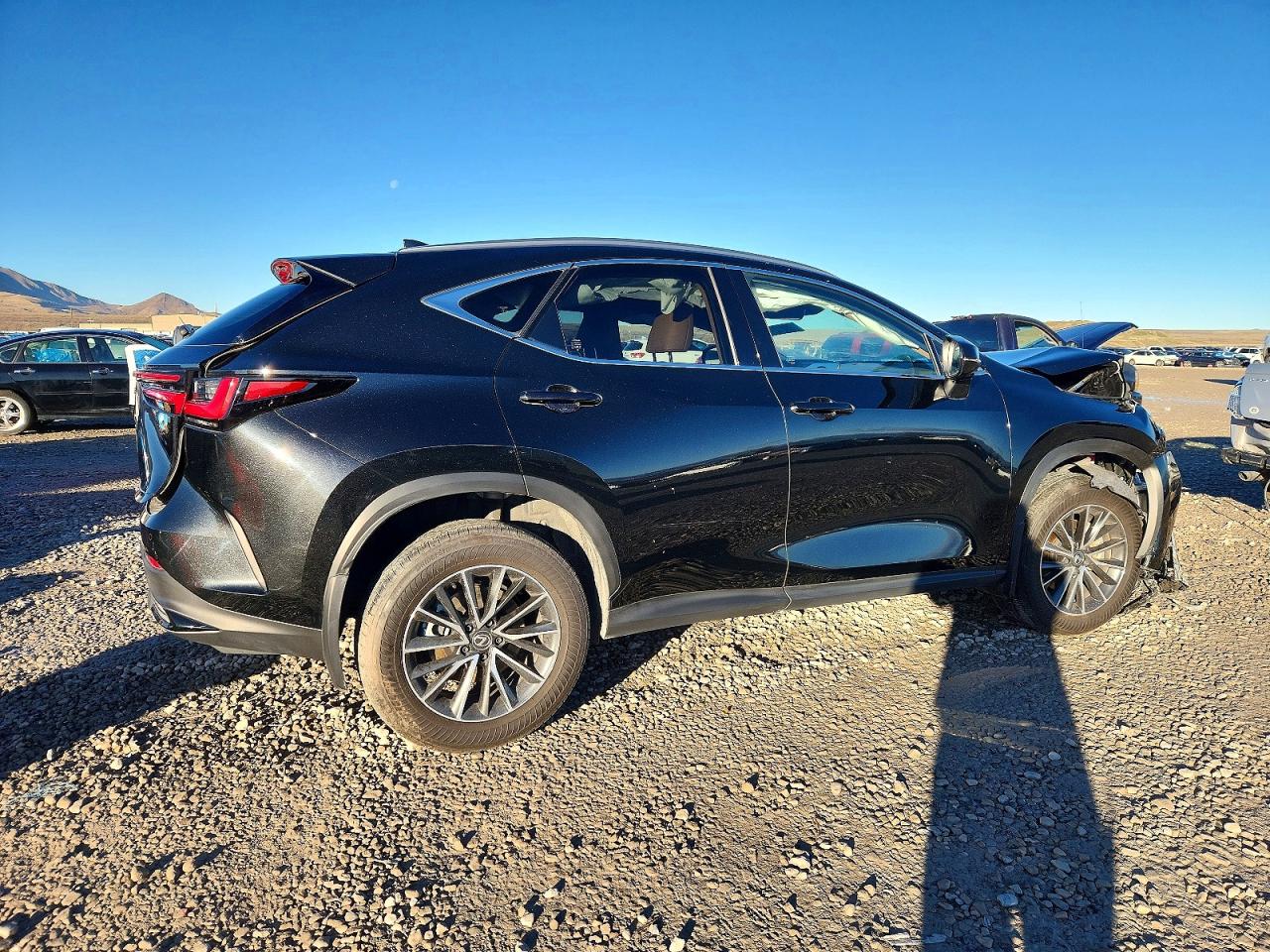 2025 LEXUS 25 Series NX 350H