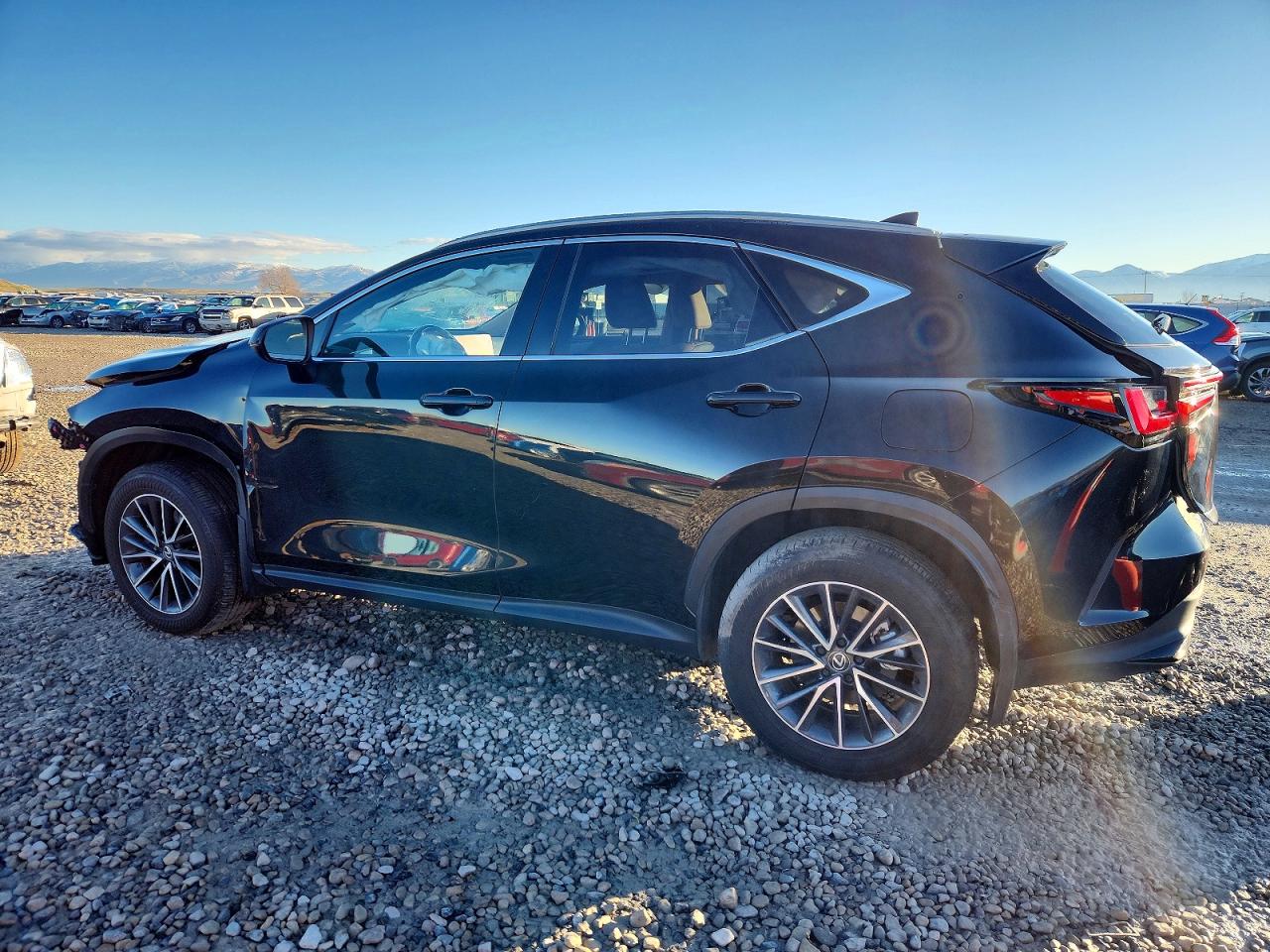 2025 LEXUS 25 Series NX 350H