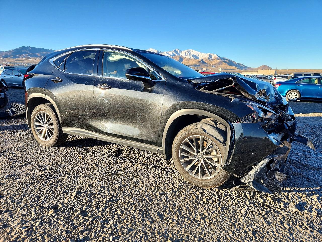 2025 LEXUS 25 Series NX 350H