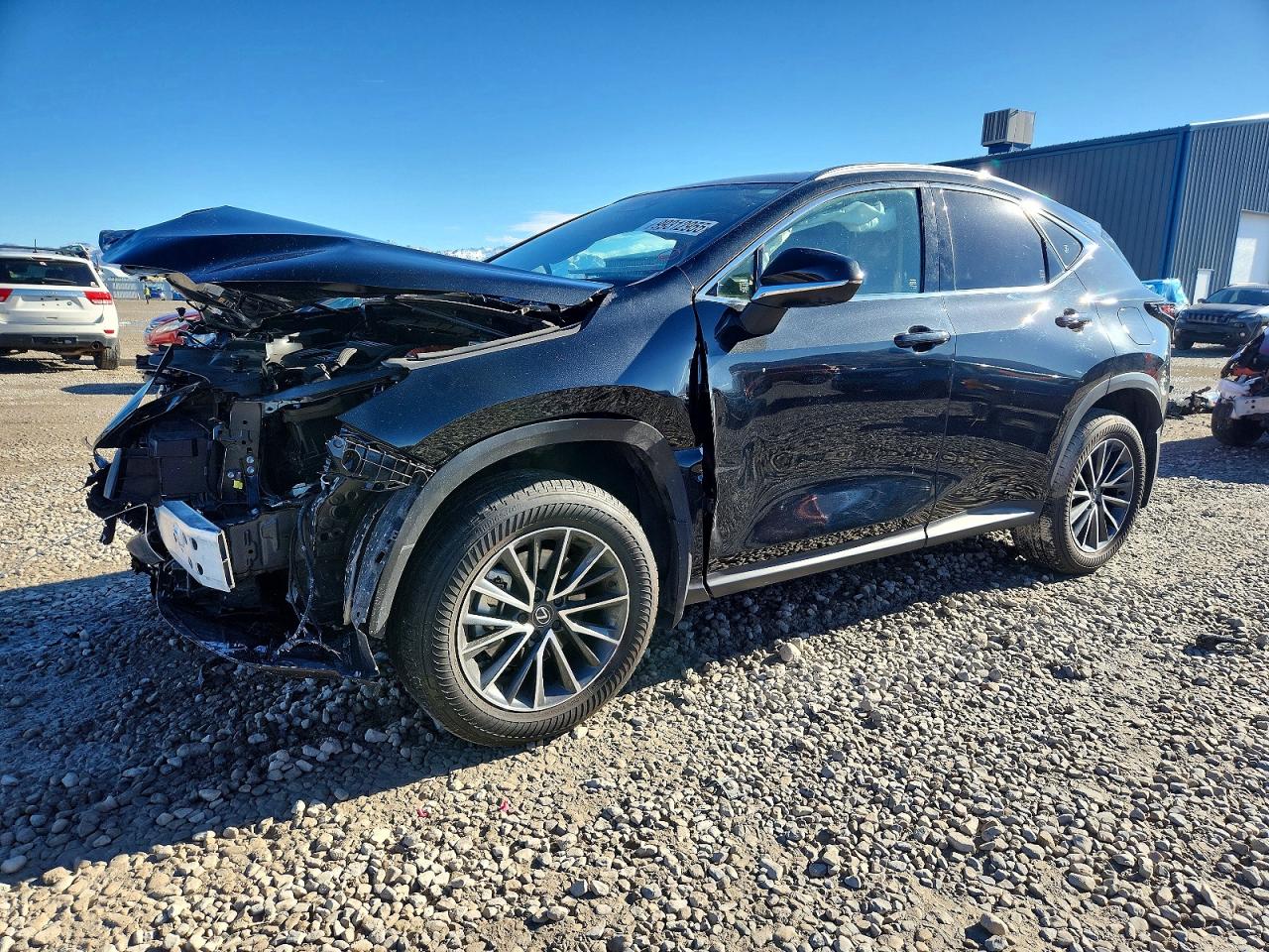 2025 LEXUS 25 Series NX 350H
